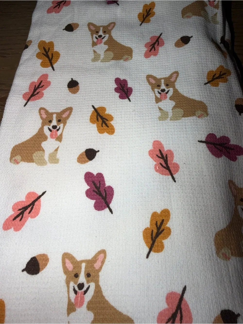 Bliss Studio playful corgi
